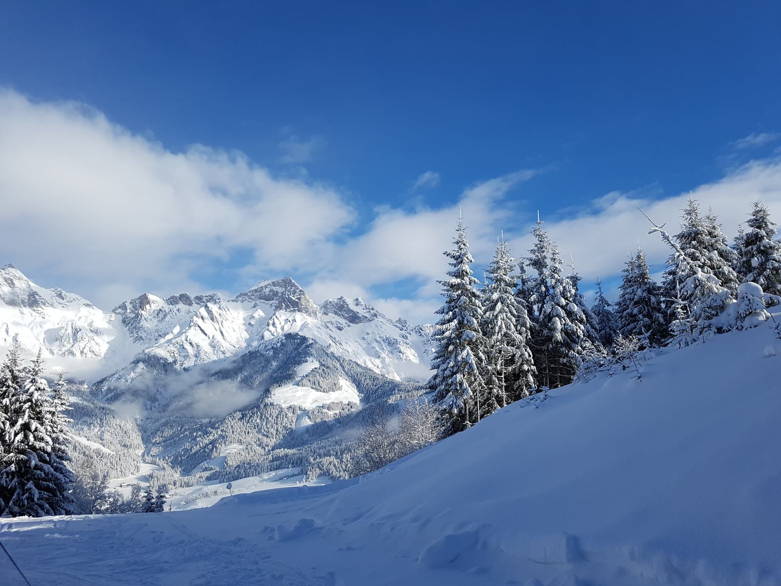 Ski-Abteilung